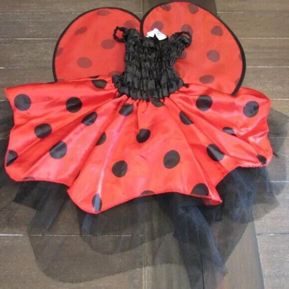 Ladybug Costume with Wings Girls Halloween Fun Size Up to 24 months Worn Once
